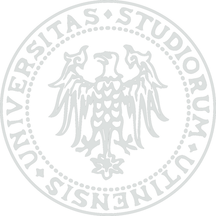 University of Udine University of Udine